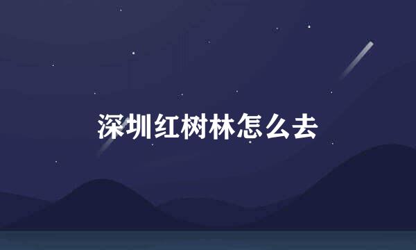 深圳红树林怎么去