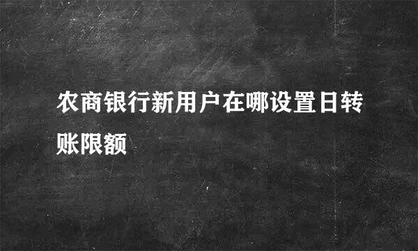 农商银行新用户在哪设置日转账限额