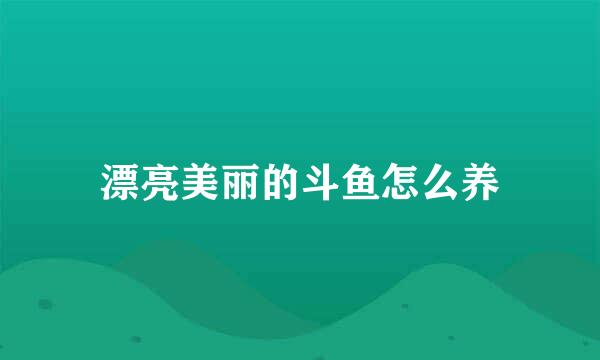 漂亮美丽的斗鱼怎么养