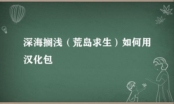 深海搁浅（荒岛求生）如何用汉化包