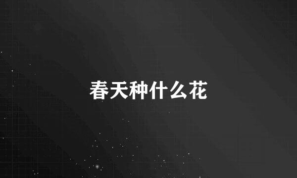 春天种什么花
