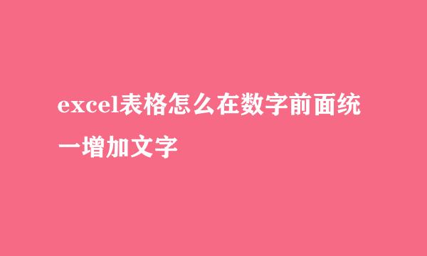 excel表格怎么在数字前面统一增加文字