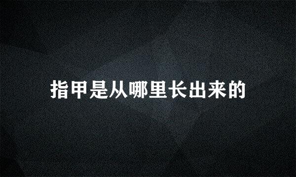 指甲是从哪里长出来的
