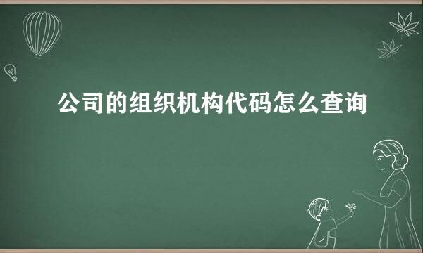 公司的组织机构代码怎么查询