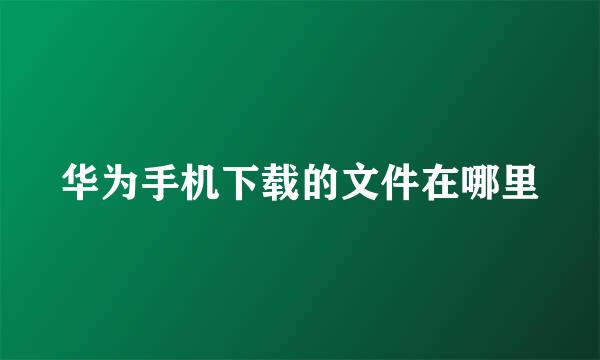 华为手机下载的文件在哪里