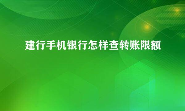 建行手机银行怎样查转账限额