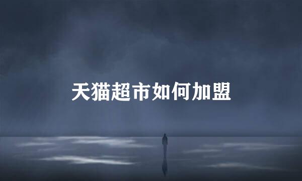 天猫超市如何加盟