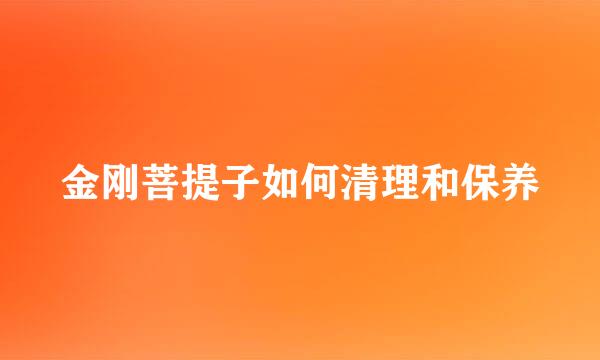 金刚菩提子如何清理和保养