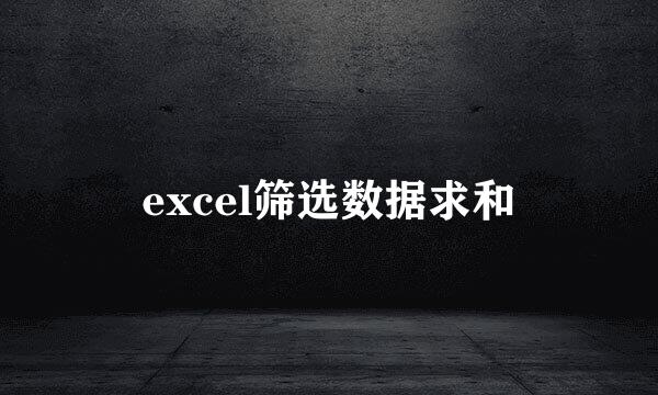 excel筛选数据求和