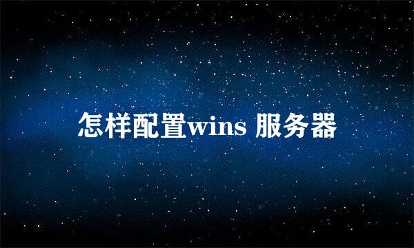 怎样配置wins 服务器