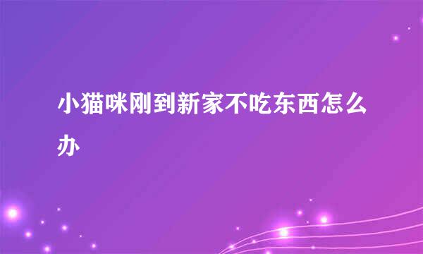 小猫咪刚到新家不吃东西怎么办
