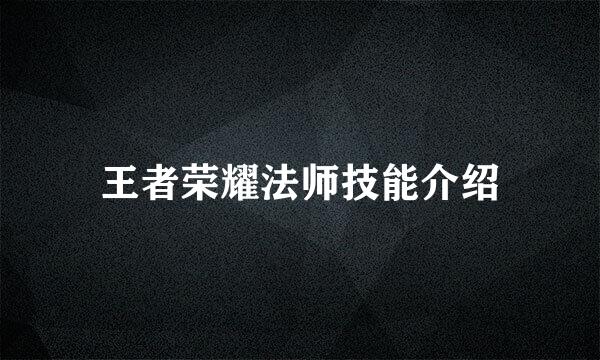 王者荣耀法师技能介绍