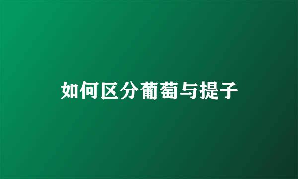 如何区分葡萄与提子