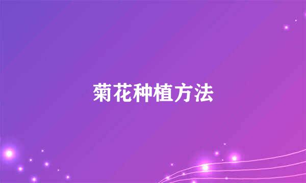 菊花种植方法