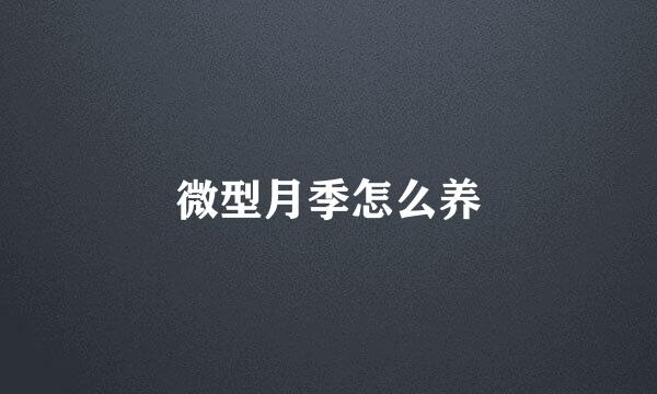 微型月季怎么养