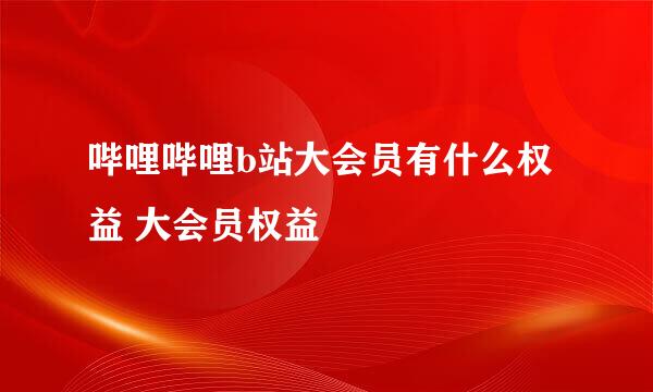 哔哩哔哩b站大会员有什么权益 大会员权益