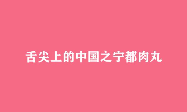 舌尖上的中国之宁都肉丸