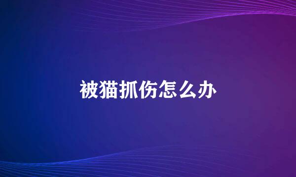 被猫抓伤怎么办