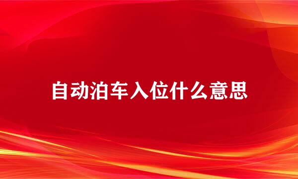 自动泊车入位什么意思