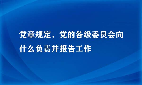 党章规定，党的各级委员会向什么负责并报告工作