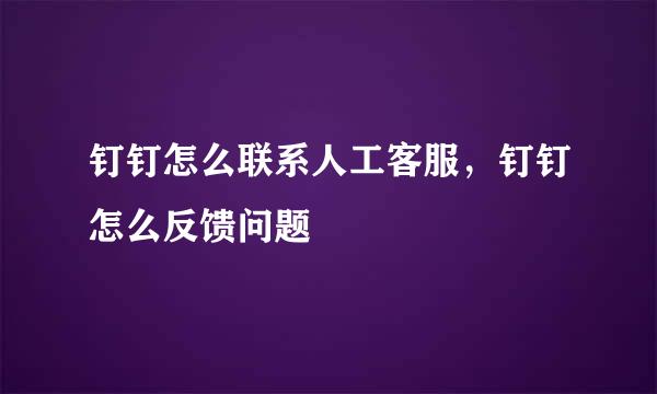 钉钉怎么联系人工客服，钉钉怎么反馈问题