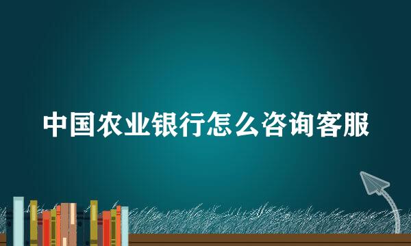 中国农业银行怎么咨询客服