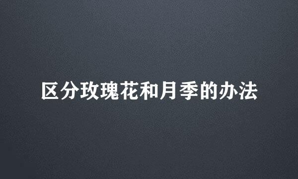 区分玫瑰花和月季的办法