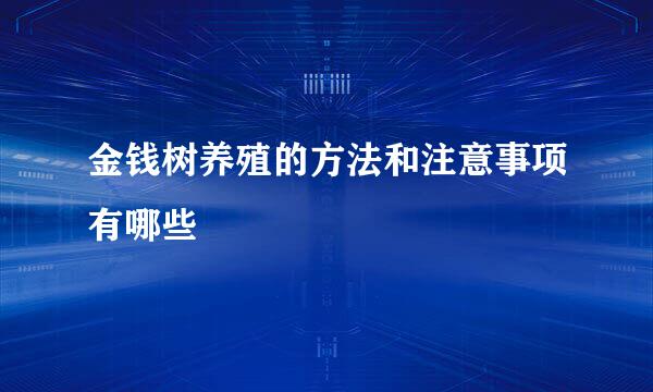 金钱树养殖的方法和注意事项有哪些