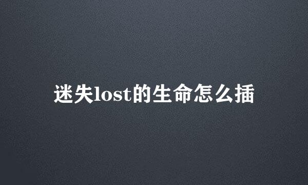 迷失lost的生命怎么插