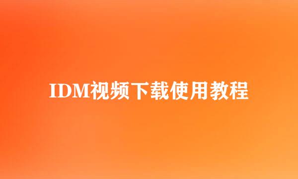 IDM视频下载使用教程