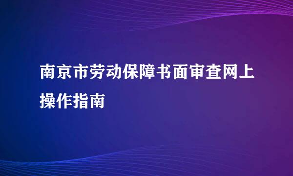 南京市劳动保障书面审查网上操作指南