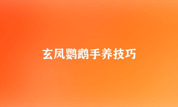 玄凤鹦鹉手养技巧