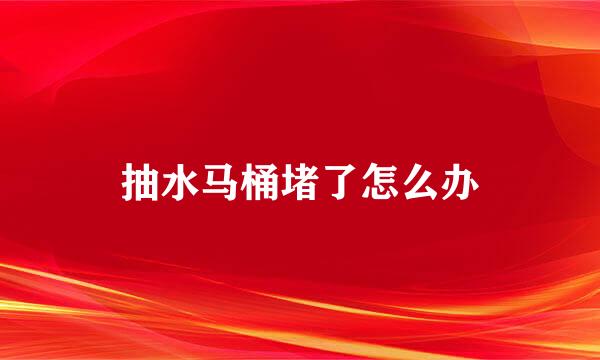 抽水马桶堵了怎么办