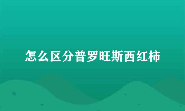 怎么区分普罗旺斯西红柿