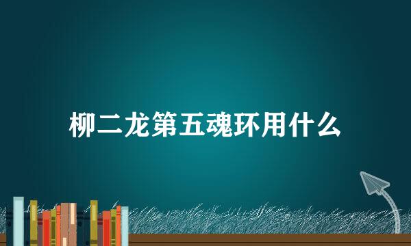 柳二龙第五魂环用什么