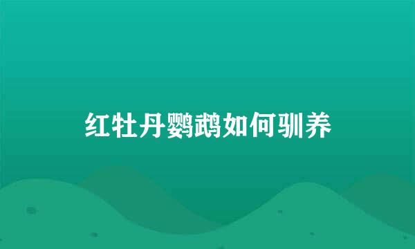 红牡丹鹦鹉如何驯养