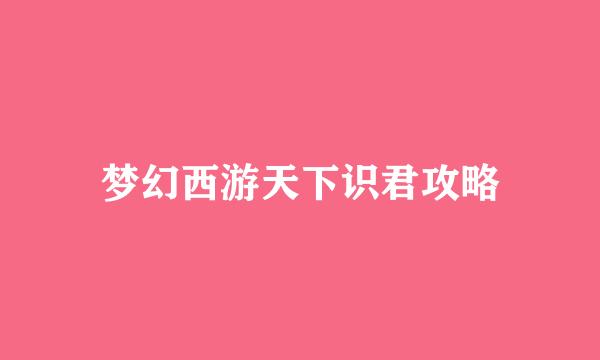 梦幻西游天下识君攻略