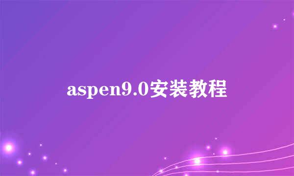 aspen9.0安装教程