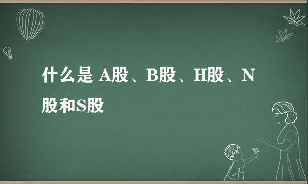 什么是 A股、B股、H股、N股和S股