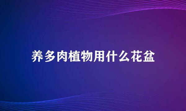 养多肉植物用什么花盆