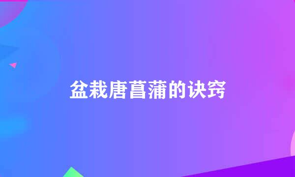 盆栽唐菖蒲的诀窍