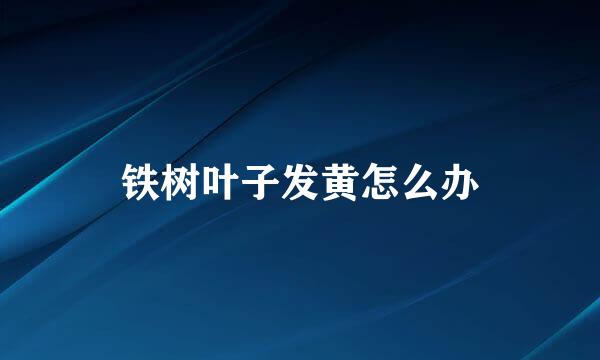 铁树叶子发黄怎么办