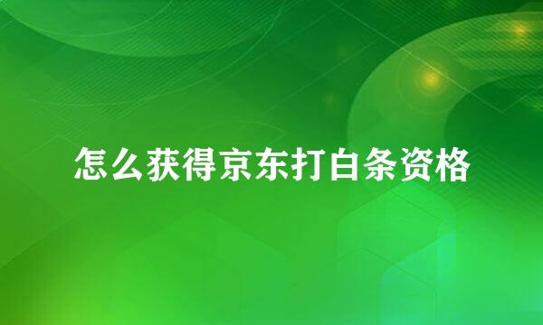 怎么获得京东打白条资格