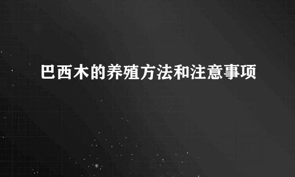 巴西木的养殖方法和注意事项
