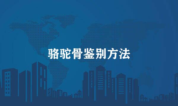 骆驼骨鉴别方法