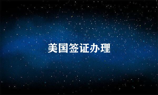 美国签证办理