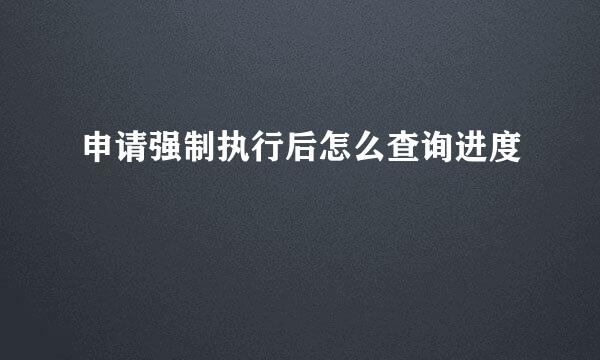 申请强制执行后怎么查询进度