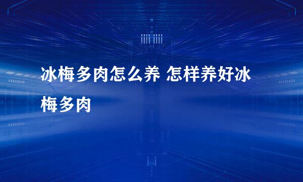 冰梅多肉怎么养 怎样养好冰梅多肉