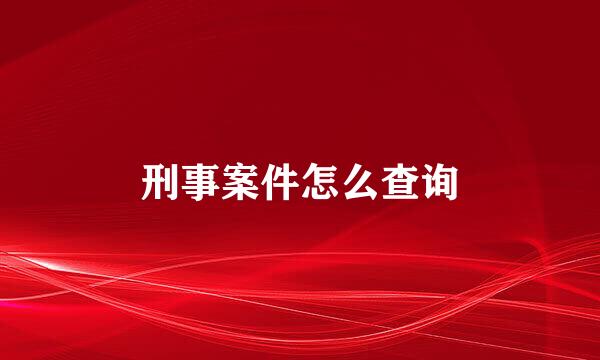 刑事案件怎么查询