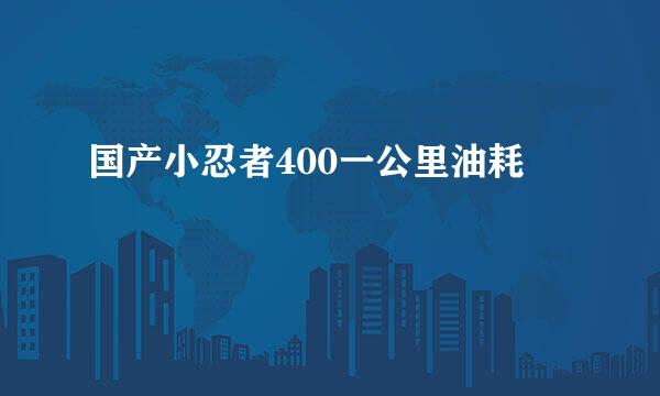 国产小忍者400一公里油耗